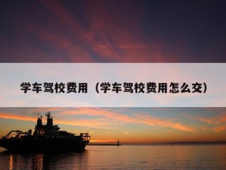 学车驾校费用（学车驾校费用怎么交）