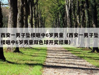 西安一男子坠楼砸中6岁男童（西安一男子坠楼砸中6岁男童双色球开奖结果）