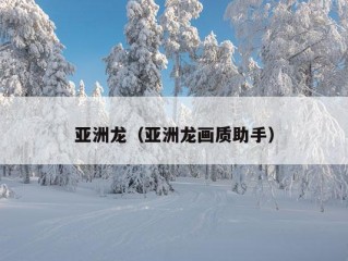 亚洲龙（亚洲龙画质助手）