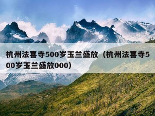 杭州法喜寺500岁玉兰盛放（杭州法喜寺500岁玉兰盛放000）