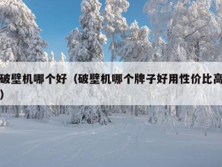 破壁机哪个好（破壁机哪个牌子好用性价比高）