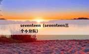 seventeen（seventeen三个小分队）