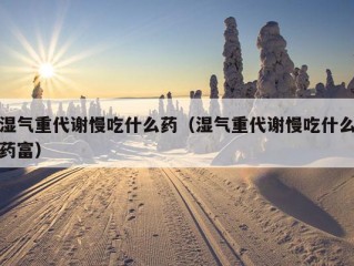 湿气重代谢慢吃什么药（湿气重代谢慢吃什么药富）