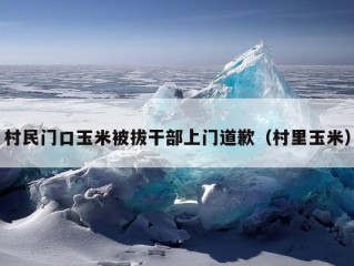 村民门口玉米被拔干部上门道歉（村里玉米）