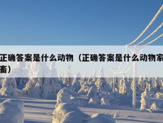 正确答案是什么动物（正确答案是什么动物家畜）