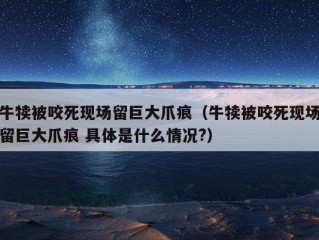 牛犊被咬死现场留巨大爪痕（牛犊被咬死现场留巨大爪痕 具体是什么情况?）