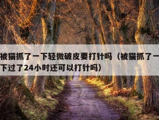 被猫抓了一下轻微破皮要打针吗（被猫抓了一下过了24小时还可以打针吗）