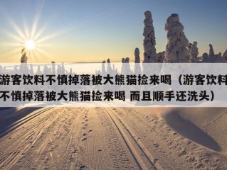 游客饮料不慎掉落被大熊猫捡来喝（游客饮料不慎掉落被大熊猫捡来喝 而且顺手还洗头）