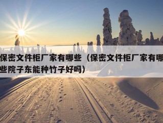 保密文件柜厂家有哪些（保密文件柜厂家有哪些院子东能种竹子好吗）