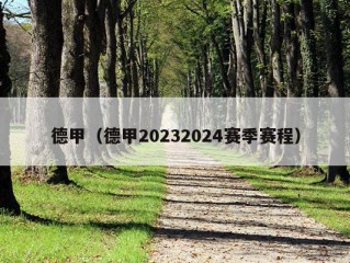 德甲（德甲20232024赛季赛程）