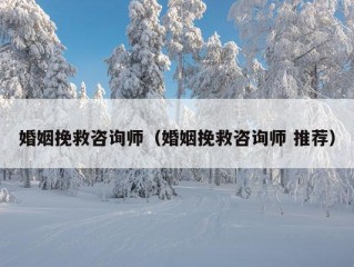 婚姻挽救咨询师（婚姻挽救咨询师 推荐）