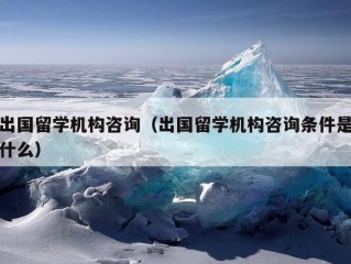 出国留学机构咨询（出国留学机构咨询条件是什么）