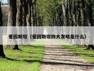 爱因斯坦（爱因斯坦四大发明是什么）