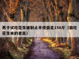 男子试吃花生被制止半夜偷走150斤（偷吃花生米的老鼠）