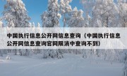 中国执行信息公开网信息查询（中国执行信息公开网信息查询官网限消中查询不到）