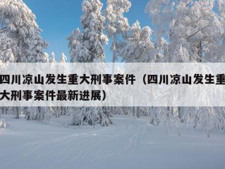 四川凉山发生重大刑事案件（四川凉山发生重大刑事案件最新进展）