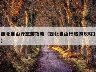 西北自由行旅游攻略（西北自由行旅游攻略1）