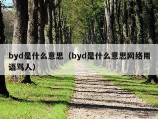 byd是什么意思（byd是什么意思网络用语骂人）