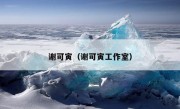 谢可寅（谢可寅工作室）