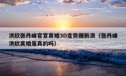 洪欣张丹峰官宣离婚3D走势图新浪（张丹峰洪欣离婚是真的吗）