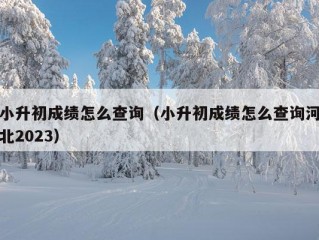 小升初成绩怎么查询（小升初成绩怎么查询河北2023）