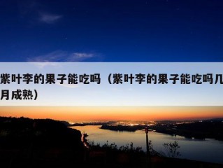 紫叶李的果子能吃吗（紫叶李的果子能吃吗几月成熟）