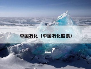 中国石化（中国石化股票）