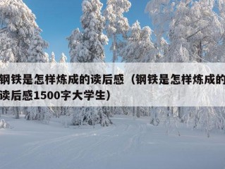 钢铁是怎样炼成的读后感（钢铁是怎样炼成的读后感1500字大学生）