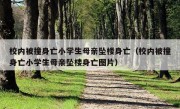 校内被撞身亡小学生母亲坠楼身亡（校内被撞身亡小学生母亲坠楼身亡图片）