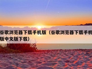 谷歌浏览器下载手机版（谷歌浏览器下载手机版中文版下载）