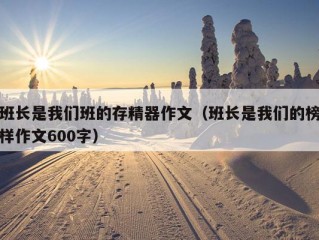 班长是我们班的存精器作文（班长是我们的榜样作文600字）