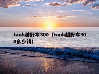 tank越野车300（tank越野车300多少钱）