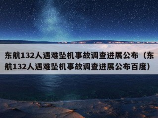 东航132人遇难坠机事故调查进展公布（东航132人遇难坠机事故调查进展公布百度）