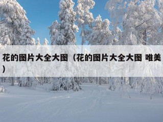 花的图片大全大图（花的图片大全大图 唯美）