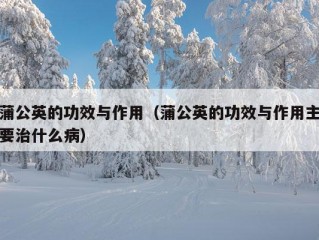 蒲公英的功效与作用（蒲公英的功效与作用主要治什么病）