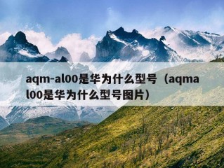 aqm-al00是华为什么型号（aqmal00是华为什么型号图片）