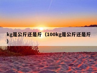 kg是公斤还是斤（100kg是公斤还是斤）