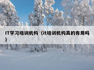 IT学习培训机构（it培训机构真的有用吗）