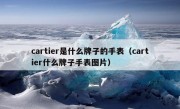 cartier是什么牌子的手表（cartier什么牌子手表图片）