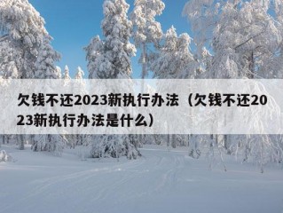 欠钱不还2023新执行办法（欠钱不还2023新执行办法是什么）