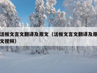 活板文言文翻译及原文（活板文言文翻译及原文视频）