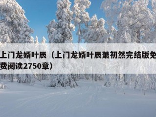 上门龙婿叶辰（上门龙婿叶辰萧初然完结版免费阅读2750章）