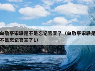 白敬亭宋轶是不是忘记官宣了（白敬亭宋轶是不是忘记官宣了1）