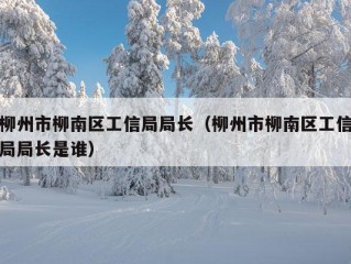 柳州市柳南区工信局局长（柳州市柳南区工信局局长是谁）