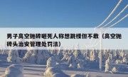 男子高空抛砖砸死人称想跳楼但不敢（高空抛砖头治安管理处罚法）