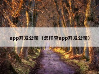 app开发公司（怎样查app开发公司）