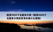 植发5000个毛囊多少钱（植发5000个毛囊多少钱舌苔发白是什么原因）