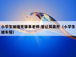 小学生被撞死肇事老师:曾让其离开（小学生被车撞）