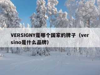 VERSIGNY是哪个国家的牌子（versino是什么品牌）