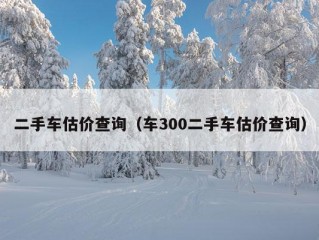 二手车估价查询（车300二手车估价查询）